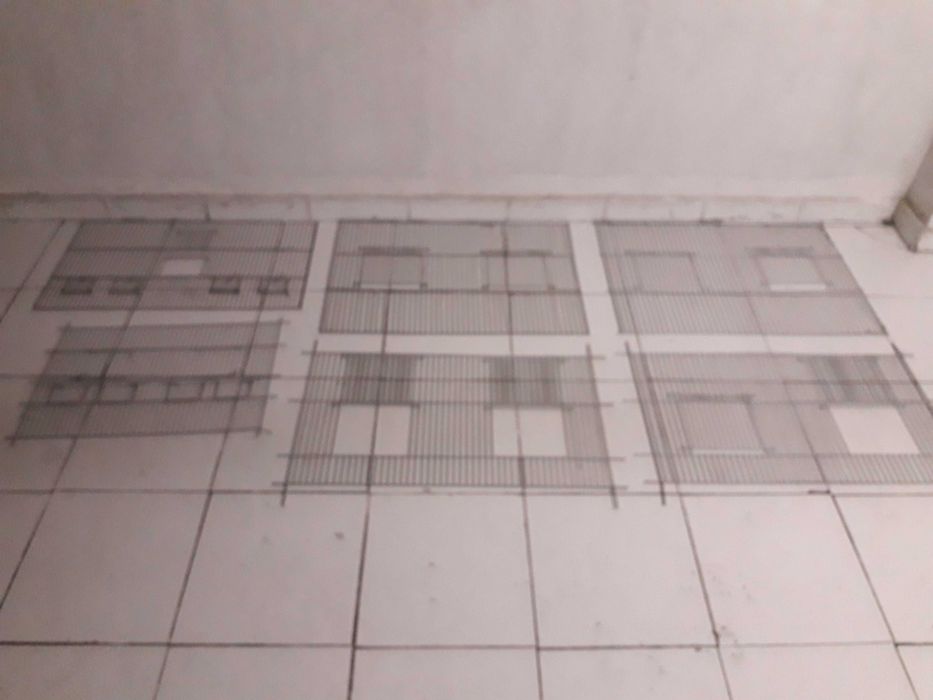 Frentes gaiolas agapornis novas