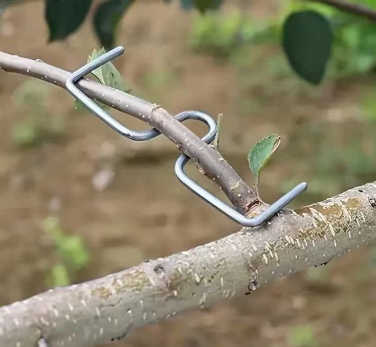 Klipsy do kształtowania roślin 50 szt