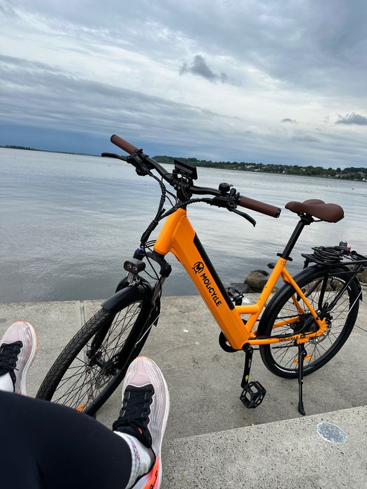 E-bike rower elektryczny