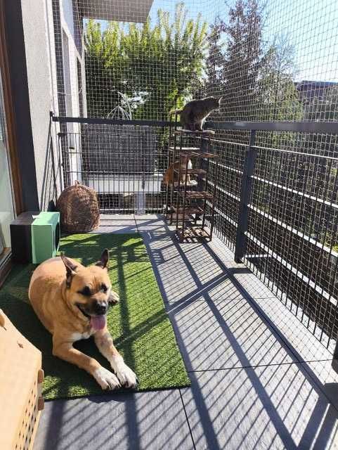 Siatki Balkonowe -20% Wolne terminy - dla kotów, przeciwko ptakom