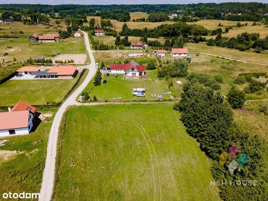 Zdjęcie 8