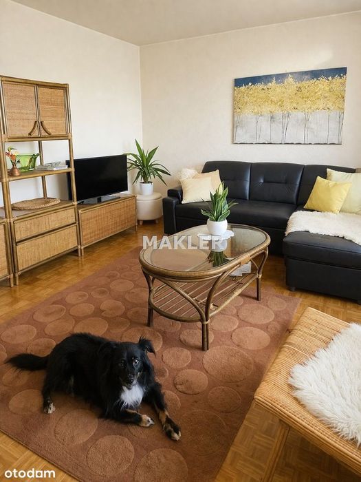 Mieszkanie na Bartodziejach 42,50 m2