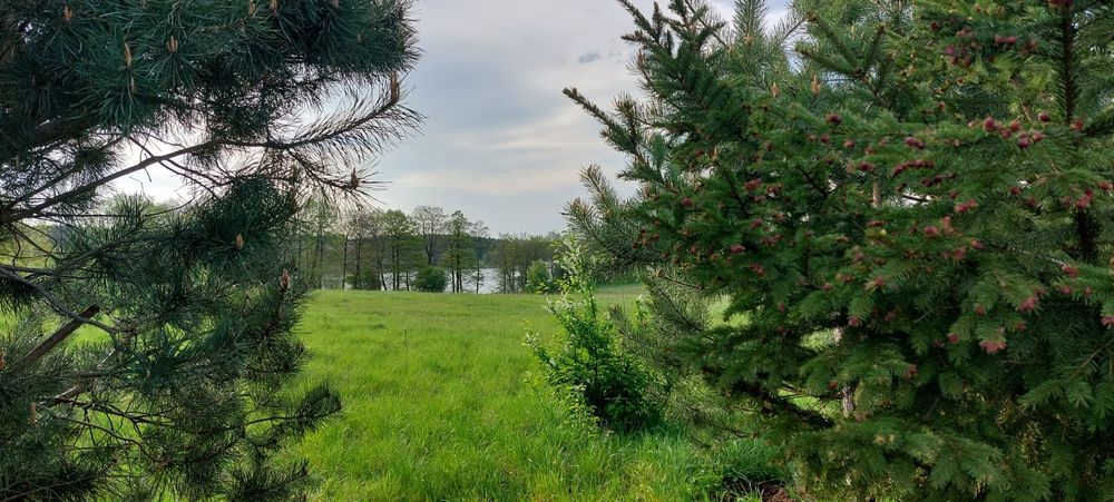 Wynajmę działkę nad jeziorem Mazury