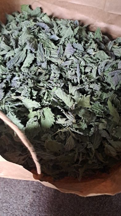 Pokrzywa z melisa susz mix 40g