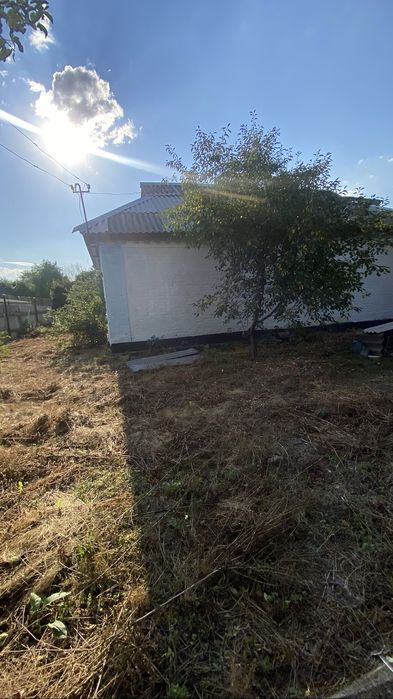 Будинок 187 км від Києва з землею Уманський рн Черкаська обл с. Червоний кут.