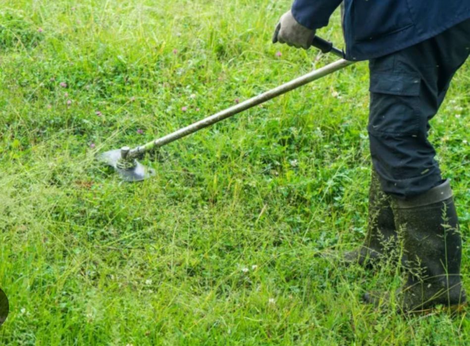 Serviço de jardineiro limpeza de terrenos,  podas  de arvores