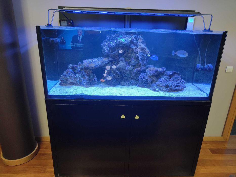 Aquário Reef água salgada