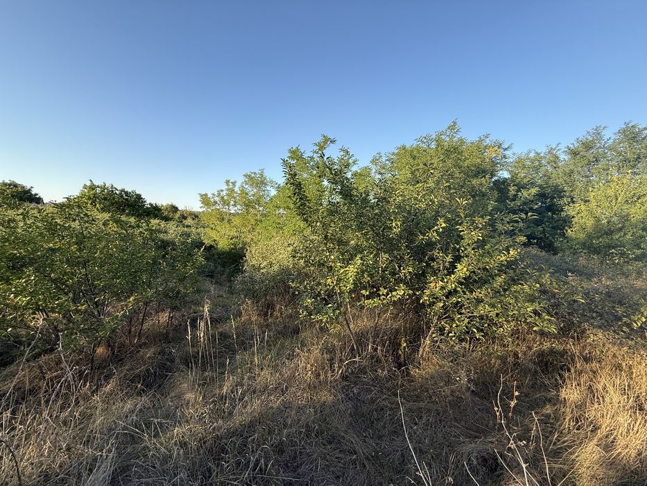 Продам будинок Сурсько-Литовське