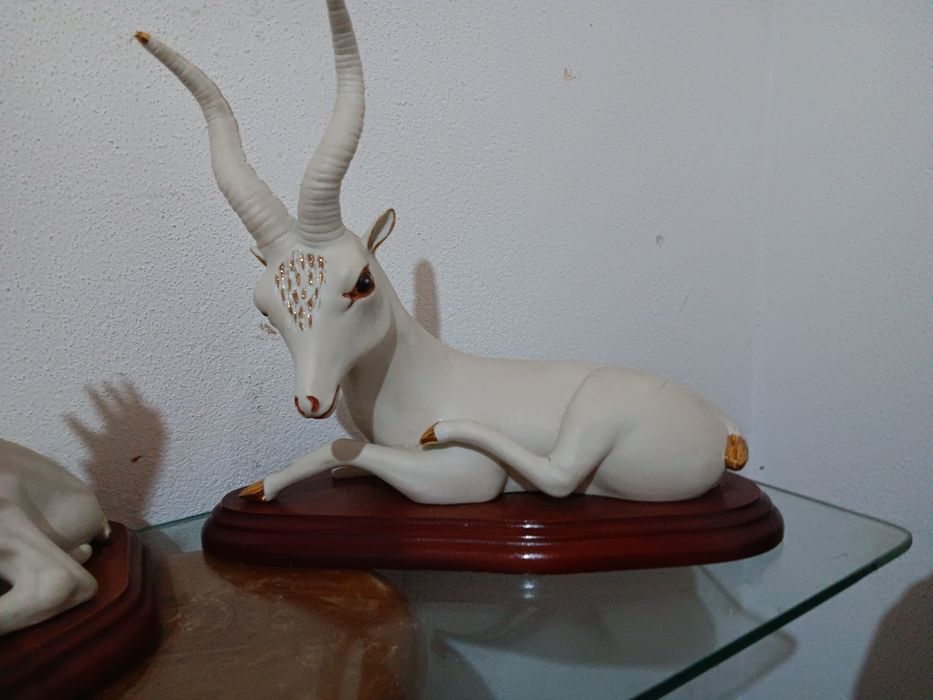 Vendo artigos para não perder o valor