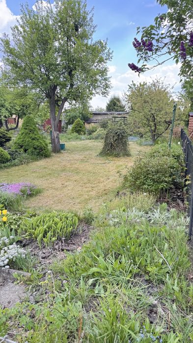 Prawa do dzialki ROD 400 m2 Koninko