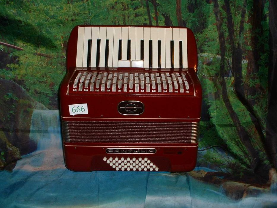 Promoção de Acordeões de concertinas