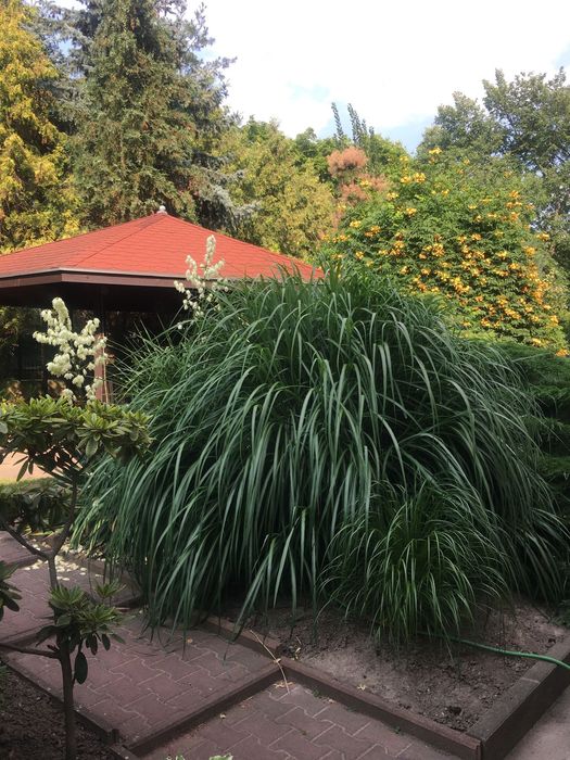 Wynajiem Pokojie dla Pracownikow