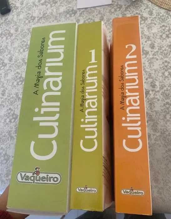 Livros de culinária (dois volumes) - A magia dos sabores