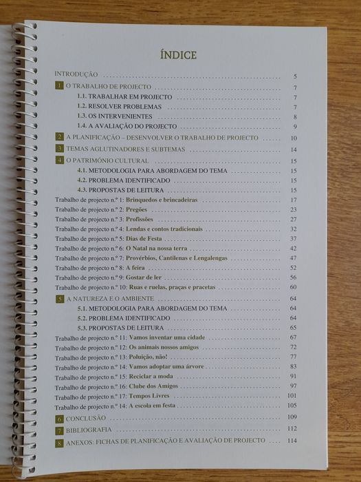 Interdisciplinariedade (DAC): Aprender a trabalhar em projecto