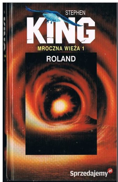 Mroczna wieża 1 - Roland