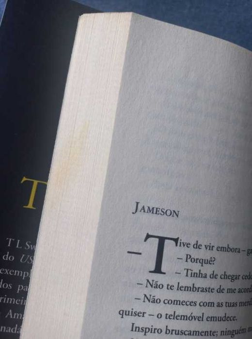 Primeira Classe - T L Swan (The Miles High Club - Livro 1)