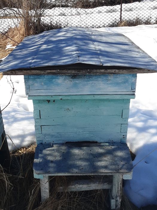 Вулик -дадан, на 12 рамок.