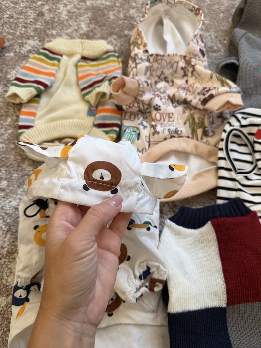 Пакет вещей на маленькую собачку или кошку,кофта ,худи ,майка дождевик