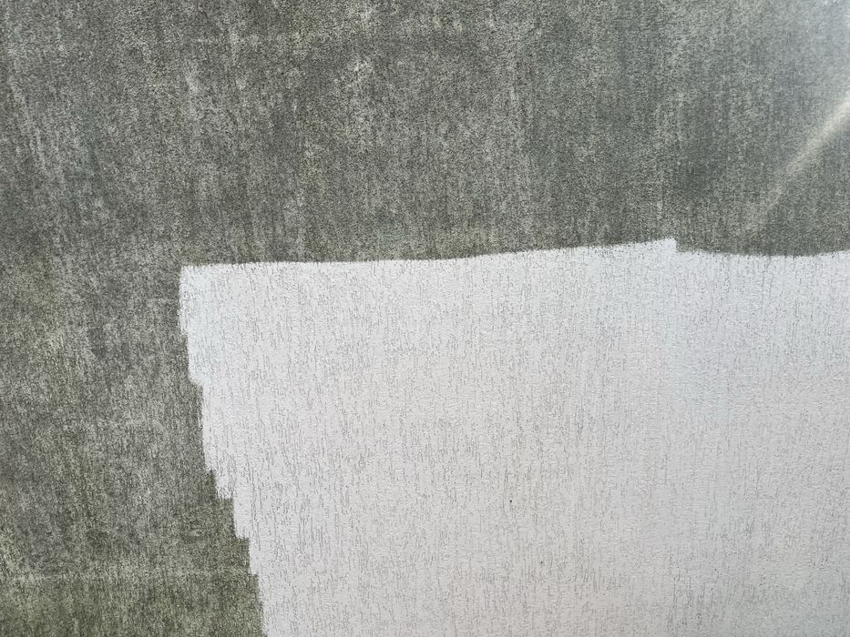 Mycie dachów i elewacji