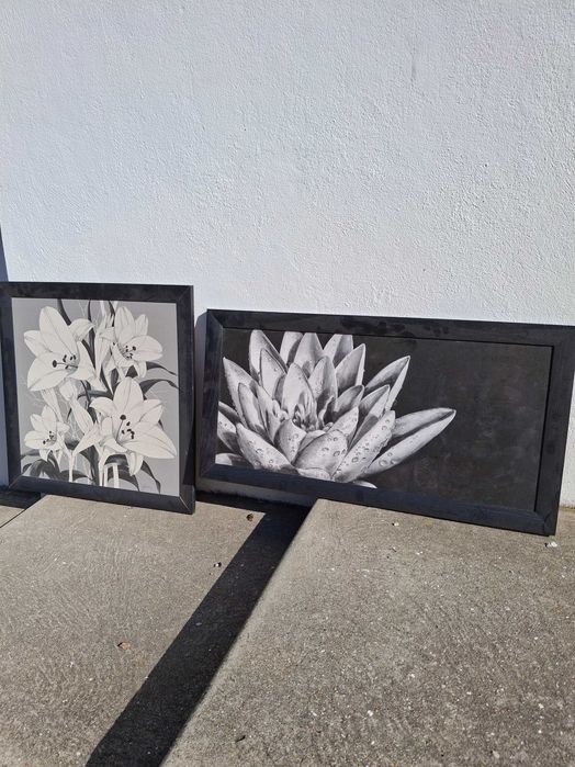 Quadros em bom estado