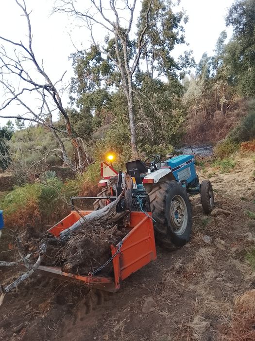 Serviços agroflorestais