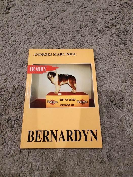 Bernardyn Andrzej Marciniec