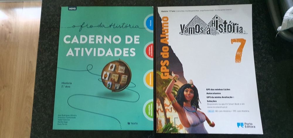 Manuais 7 ano vários