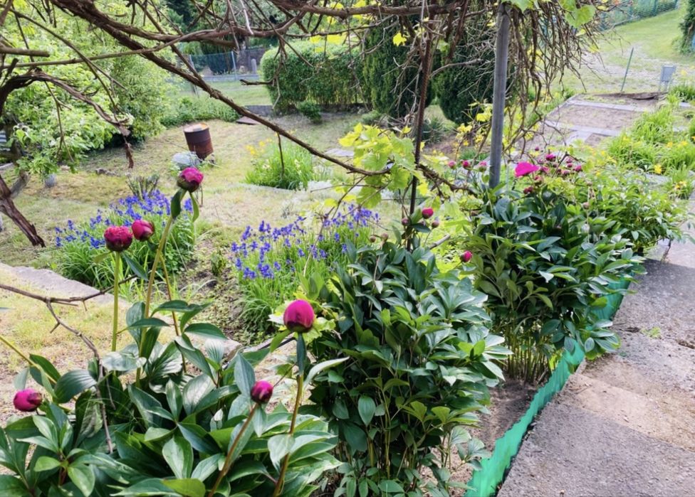 Rodzinny Ogród Działkowy im. Mieszka I