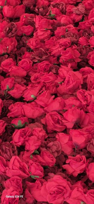 Ścianka kwiatowa 5D 240x240  Czerwone Róże  KRAKÓW  WYNAJEM !!!