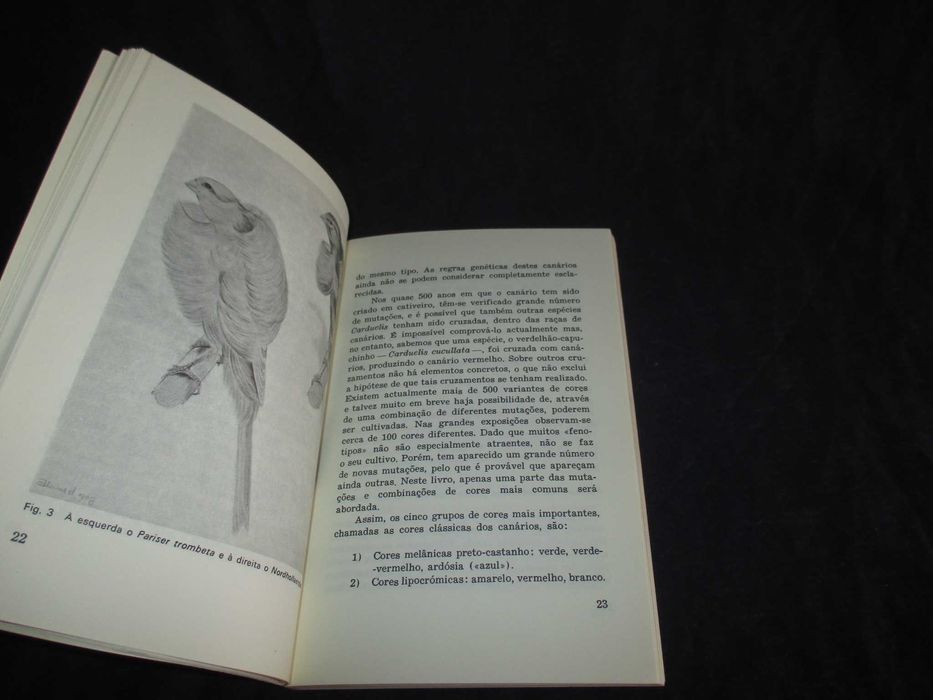 Livro abc da Criação de Canários Curt Af Enehjelm