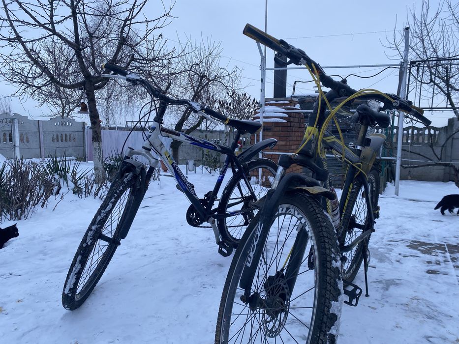 2 спортивні велосипеди