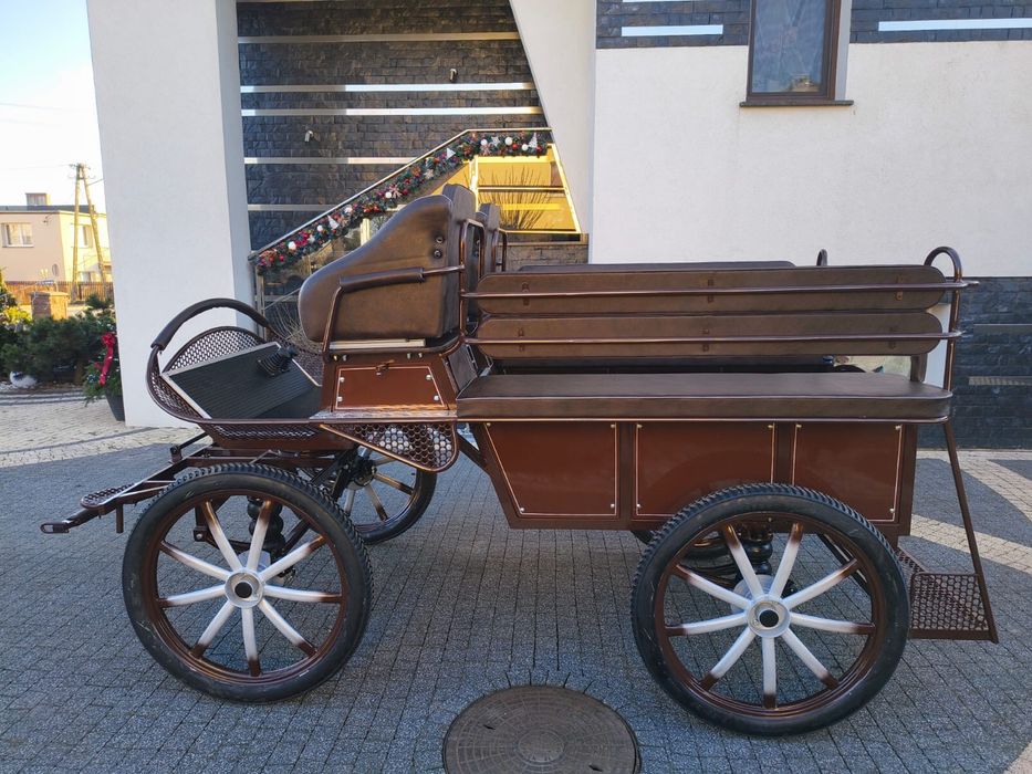 Bryczka konna treningowa powóz wagonetka