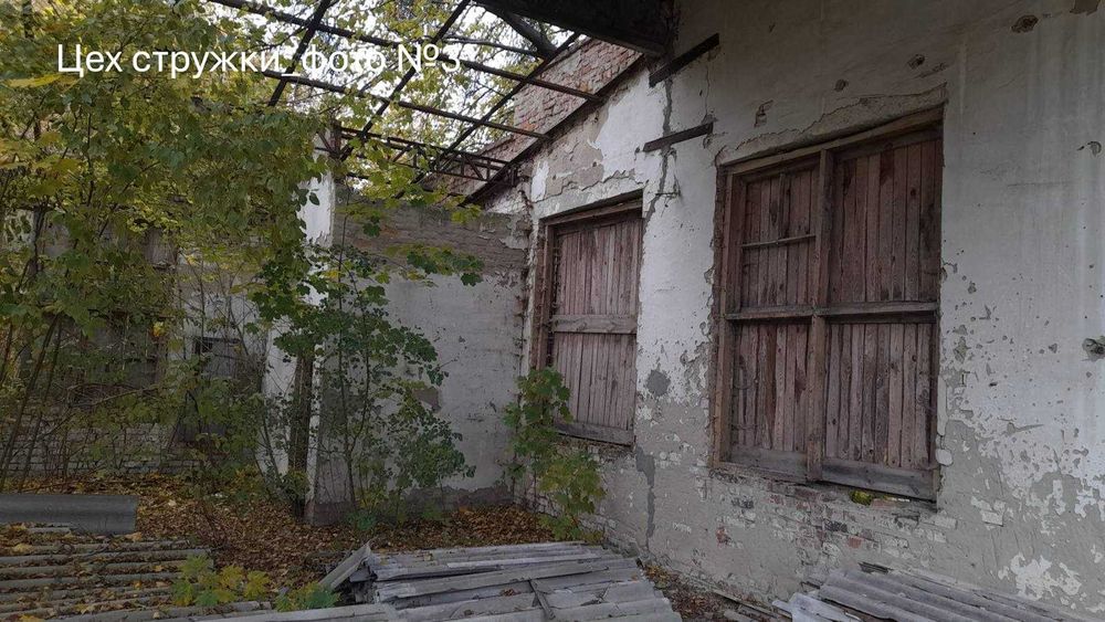 Цех стружки та цех хвойного екстракту площею 1289 кв.м, Волинська обл.,