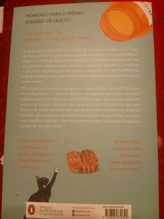 Vamos Receitar-lhe Um Gato, Syou Ishida