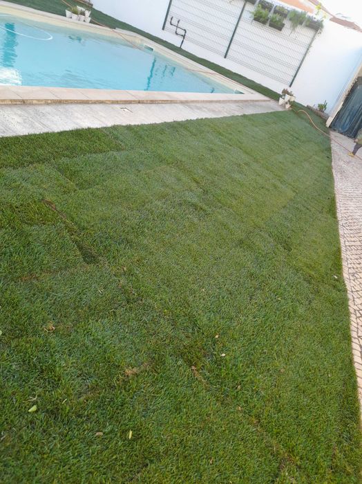 Relva natural em tapete