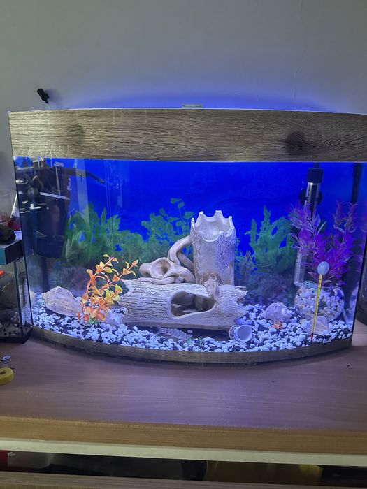 Акваріум на 65 літрів