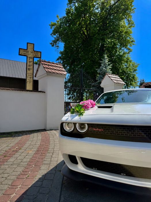 Samochód auto do ślubu Dodge Challenger