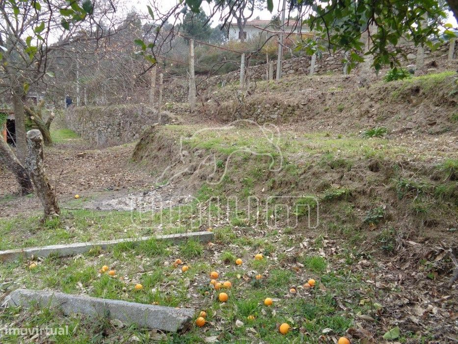 TERRENO COM RUÍNA - Labruja, Ponte de Lima — Labruja, Viana do Castelo