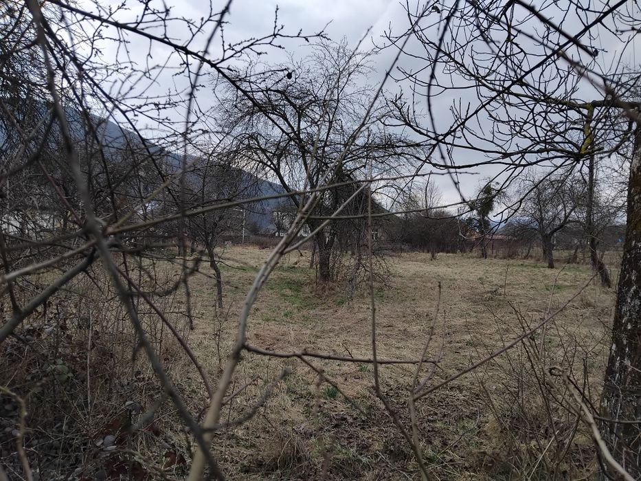 Продаю земельну ділянку с. ПОЛЯНА Закарпатської області