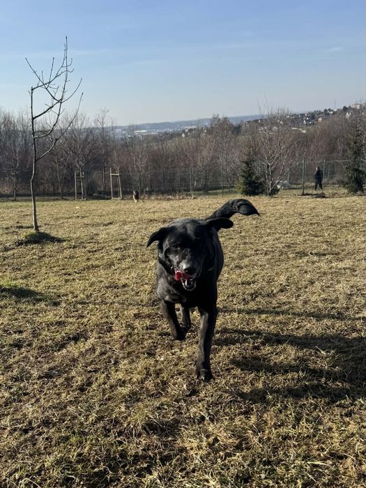 Cudowna Zosia czeka na swojego czlowieka