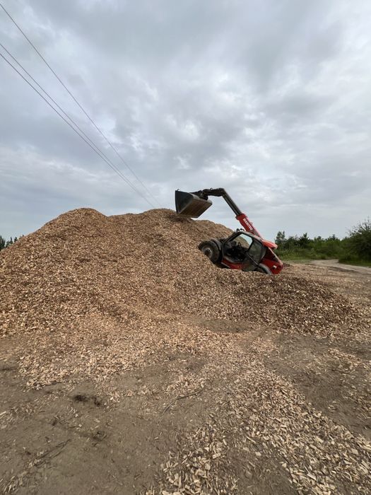 Тріска / щепа / щіпа паливна