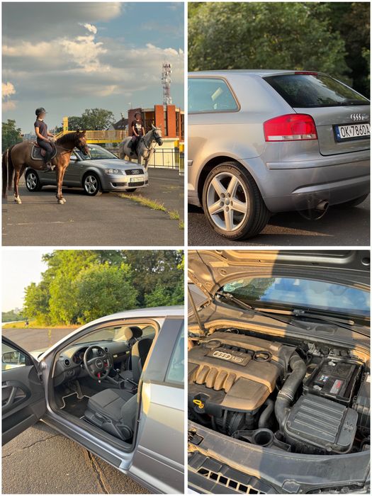 Audi A3 8P 1.6