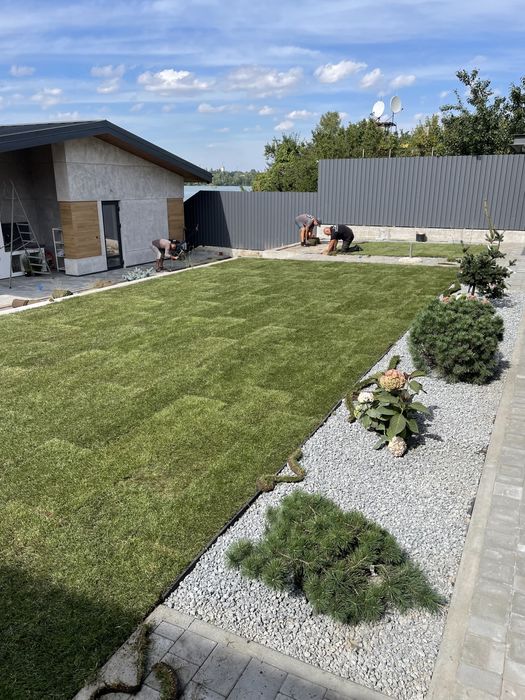 Озелененя територій.  Ландшафтний дизайн. Рулонний газон.