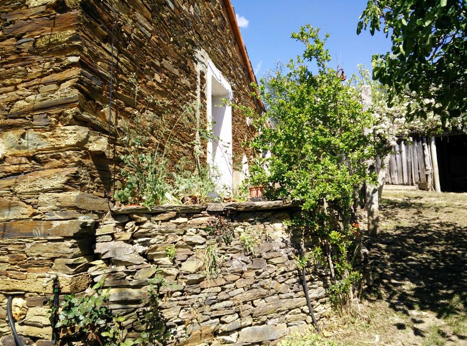 Terreno rústico com casa - Padrão Almaceda