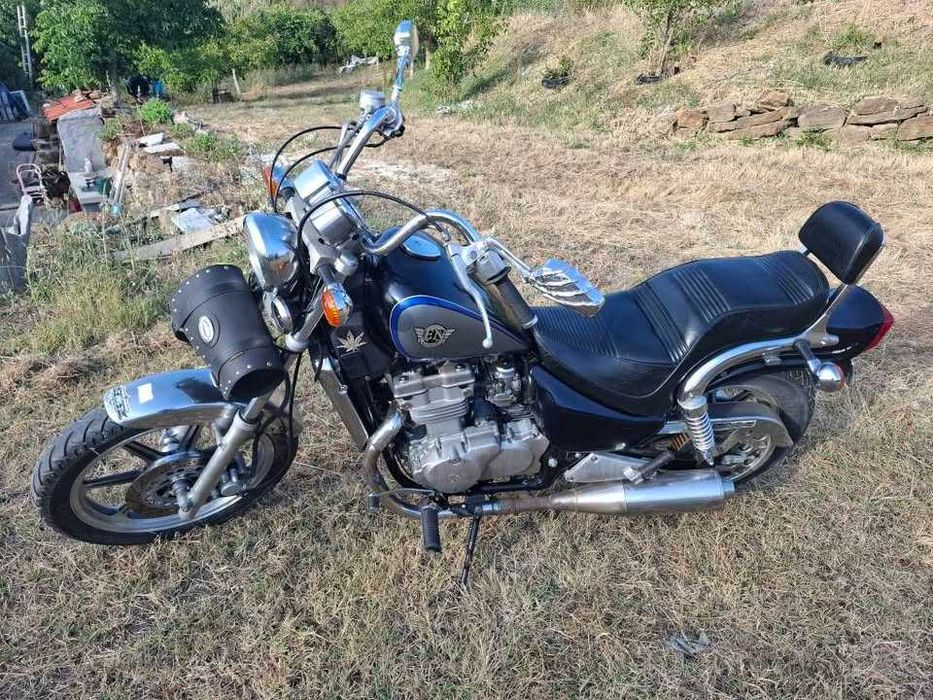 EN 500 imaculada