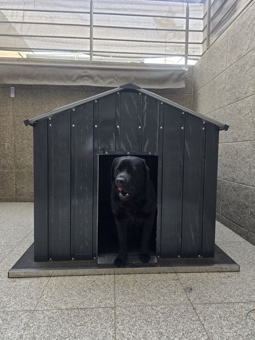 Casota

113x153x101 cm aço galvanizado