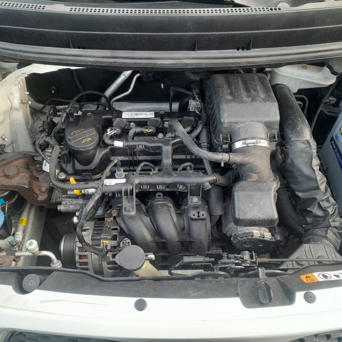 Kia picanto 1.0  2013r