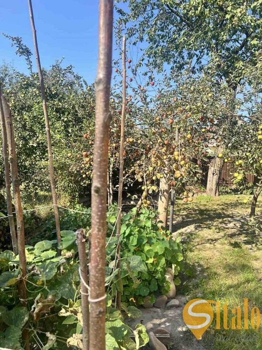 Продаж будинку, Липники