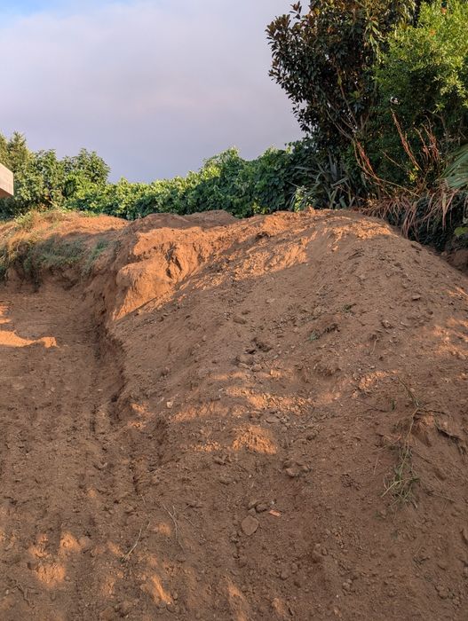 Dou Terra preta retirada de campos