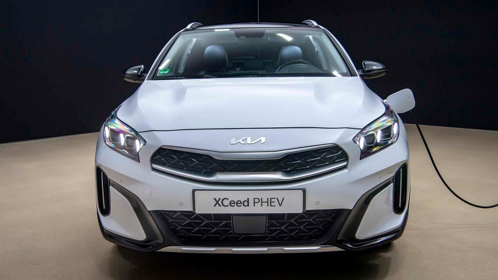 Zdjęcie w galerii numer 9